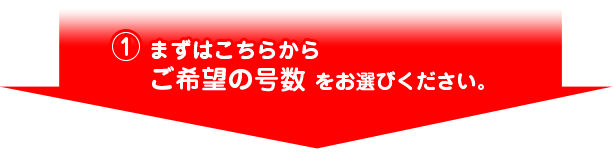 (1)まずはこちらからご希望の号数をお選びください